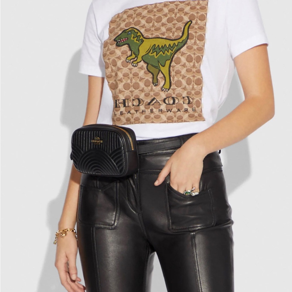 Coach Waist Bag